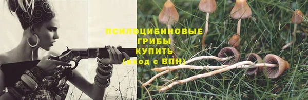 a pvp Армянск