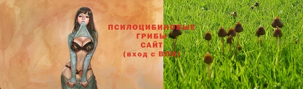 a pvp Армянск
