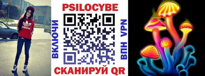Псилоцибиновые грибы мицелий  Пустошка 
