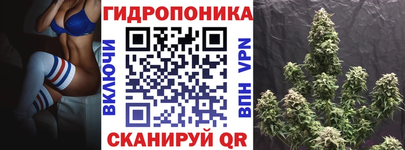 Канабис OG Kush  гидра ССЫЛКА  Пустошка 